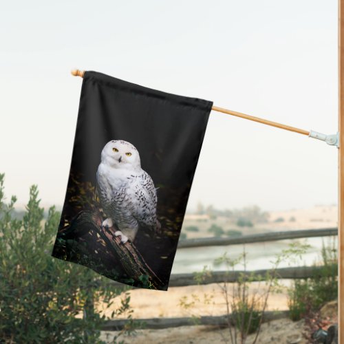 Majestic winter snowy owl house flag