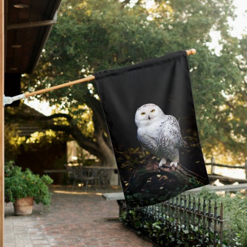 Majestic winter snowy owl house flag