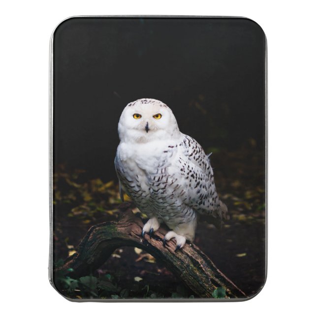 Majestic winter snowy owl jigsaw puzzle (Lid Vertical)