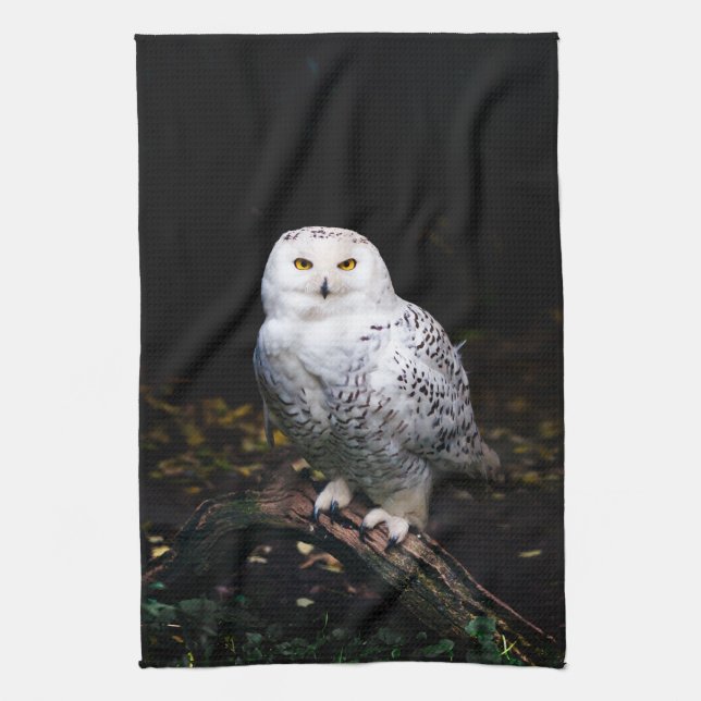 Majestic winter snowy owl kitchen towel (Vertical)