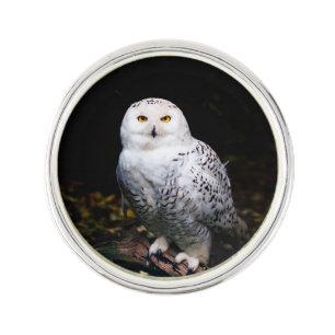 Majestic winter snowy owl lapel pin