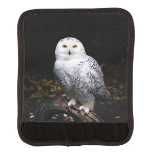 Majestic winter snowy owl luggage handle wrap