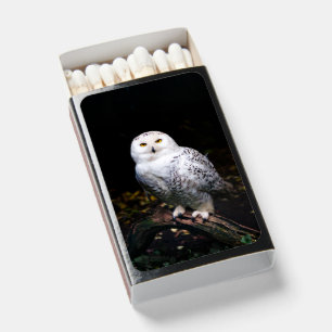 Majestic winter snowy owl matchboxes