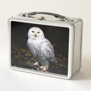 Majestic winter snowy owl metal lunch box
