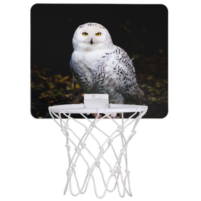 Majestic winter snowy owl mini basketball hoop (Front)