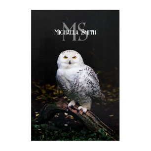 Majestic winter snowy owl monogram custom name acrylic print