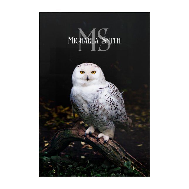 Majestic winter snowy owl monogram custom name acrylic print (Front)