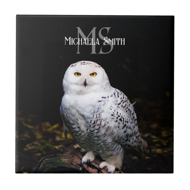 Majestic winter snowy owl monogram custom name ceramic tile (Front)