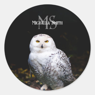 Majestic winter snowy owl monogram custom name classic round sticker
