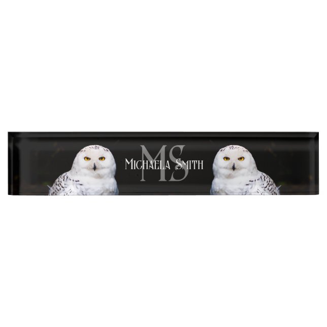Majestic winter snowy owl monogram custom name desk name plate (Front)