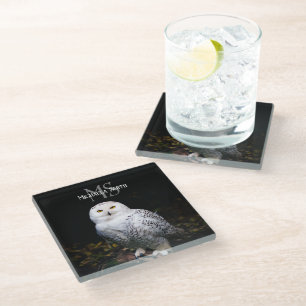 Majestic winter snowy owl monogram custom name glass coaster
