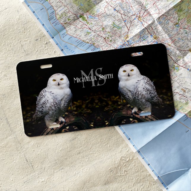 Majestic winter snowy owl monogram custom name license plate (In Situ)