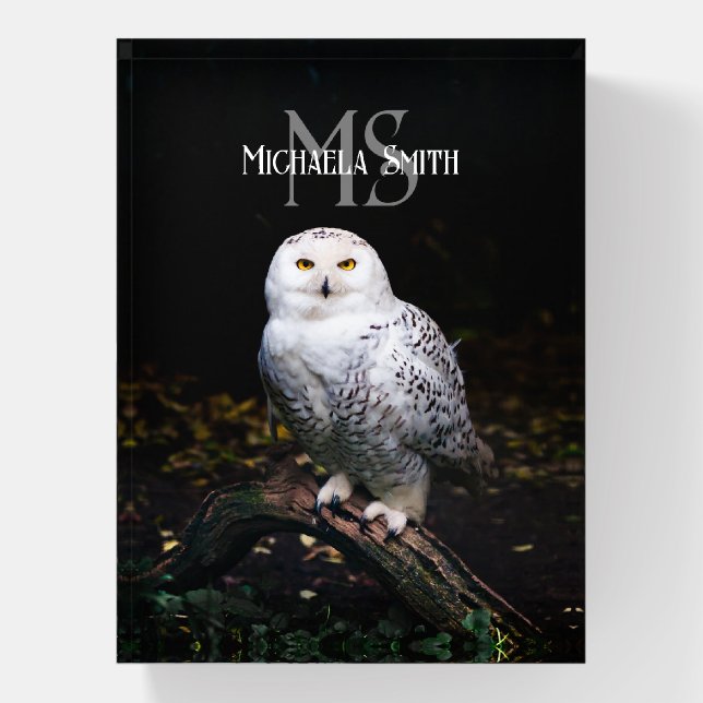 Majestic winter snowy owl monogram custom name paperweight (Vertical)