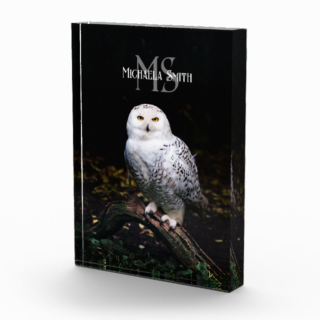 Majestic winter snowy owl monogram custom name photo block (Right)