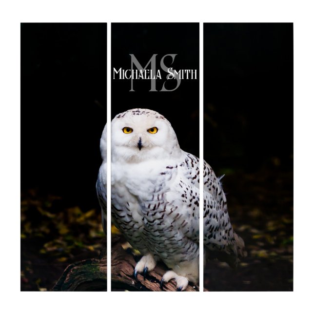 Majestic winter snowy owl monogram custom name triptych (Front)