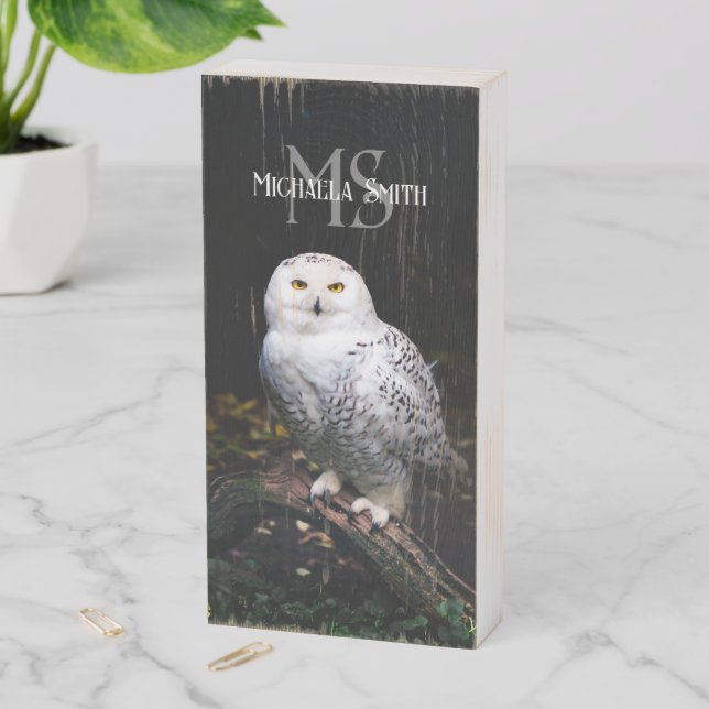 Majestic winter snowy owl monogram custom name wooden box sign (In Situ Vertical)