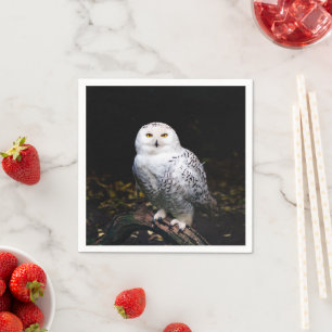 Majestic winter snowy owl napkins
