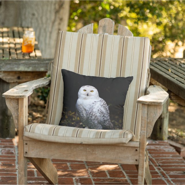 Majestic winter snowy owl outdoor pillow (Chair)