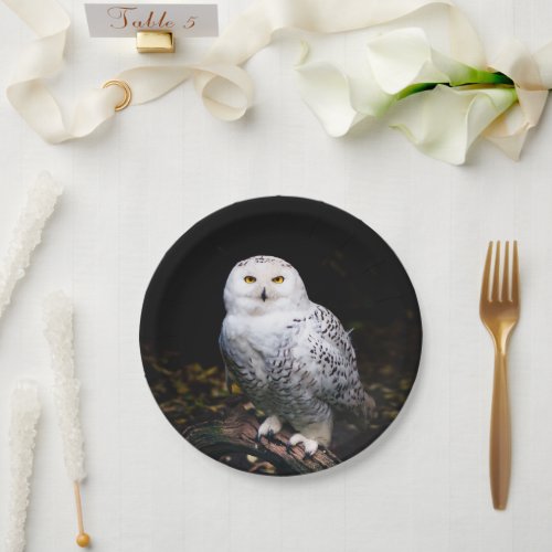 Majestic winter snowy owl paper plates