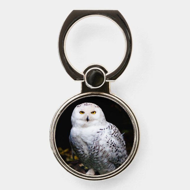 Majestic winter snowy owl phone ring stand (Front)