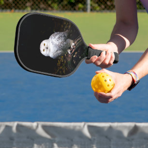 Majestic winter snowy owl pickleball paddle