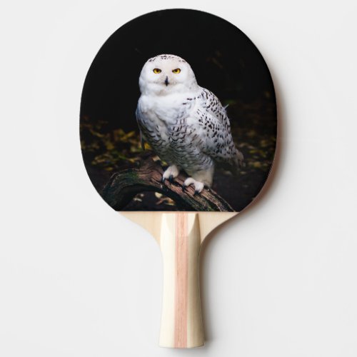 Majestic winter snowy owl ping pong paddle