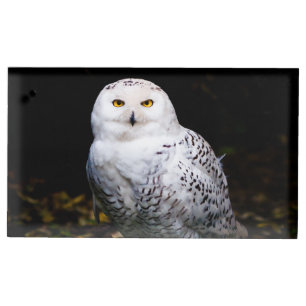 Majestic winter snowy owl place card holder