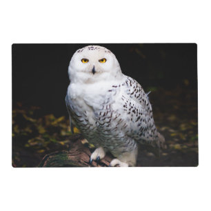 Majestic winter snowy owl placemat