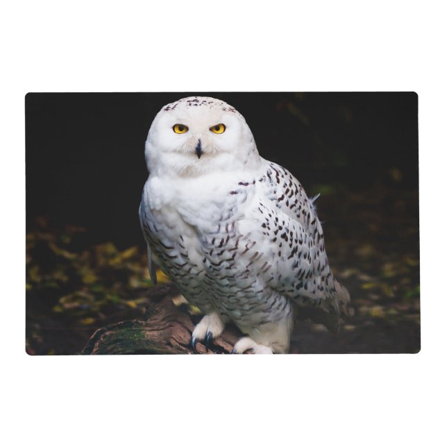 Majestic winter snowy owl placemat (Front)