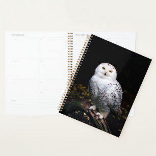 Majestic winter snowy owl planner