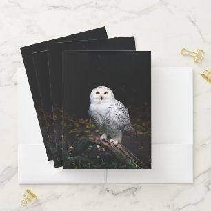 Majestic winter snowy owl pocket folder