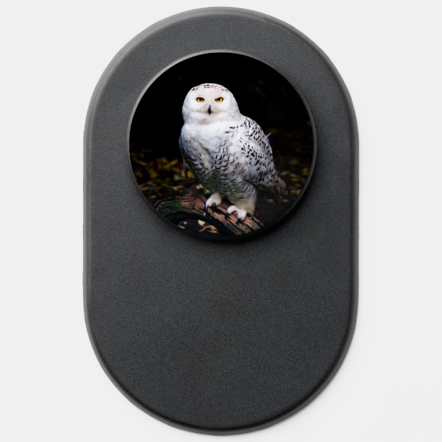 Majestic winter snowy owl PopSocket (Popsocket)