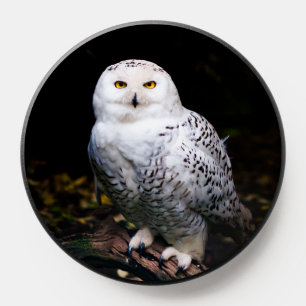 Majestic winter snowy owl PopSocket