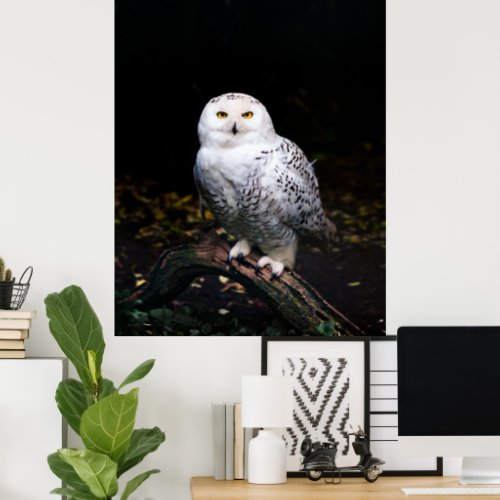 Majestic winter snowy owl poster