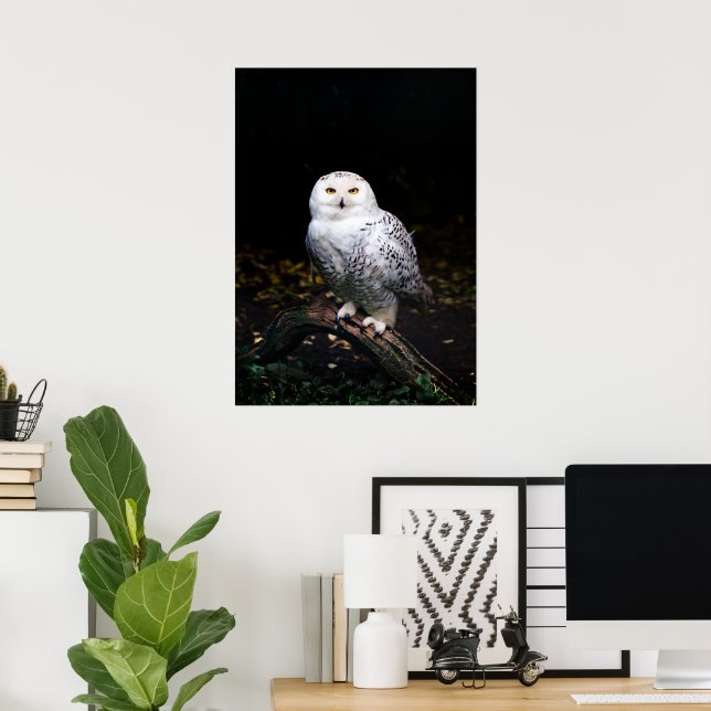 Majestic winter snowy owl poster (Home Office)
