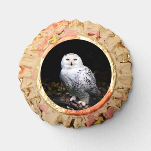 Majestic winter snowy owl reeses peanut butter cups