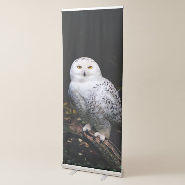 Majestic winter snowy owl retractable banner (3/4)