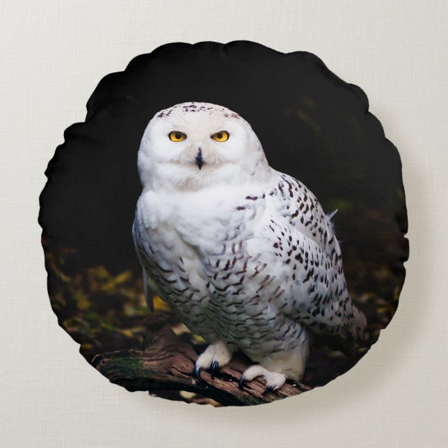 Majestic winter snowy owl round pillow (Front)