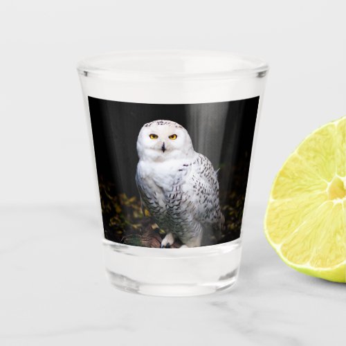 Majestic winter snowy owl shot glass