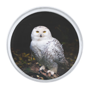 Majestic winter snowy owl silver finish lapel pin
