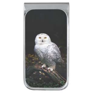 Majestic winter snowy owl silver finish money clip