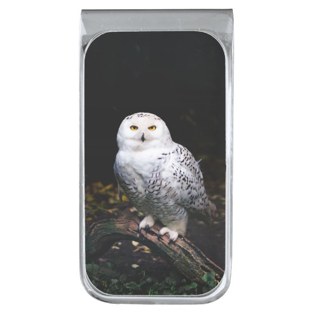 Majestic winter snowy owl silver finish money clip (Front Vertical)
