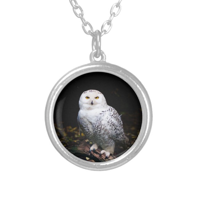 Majestic winter snowy owl silver plated necklace (Front)