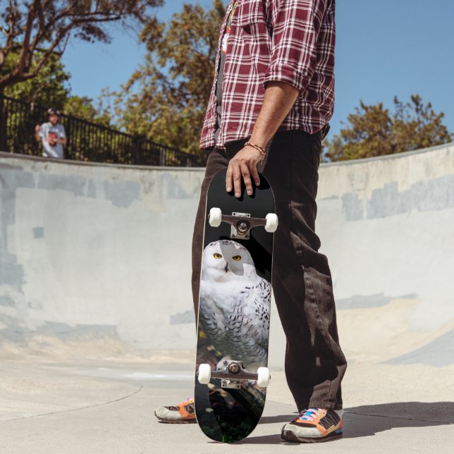 Majestic winter snowy owl skateboard (Outdoor 2)