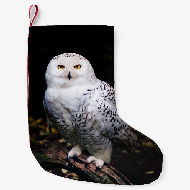 Majestic winter snowy owl small christmas stocking (Front)