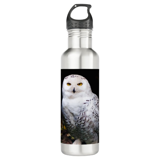 Majestic winter snowy owl stainless steel water bottle (Front)