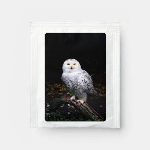 Majestic winter snowy owl tea bag drink mix