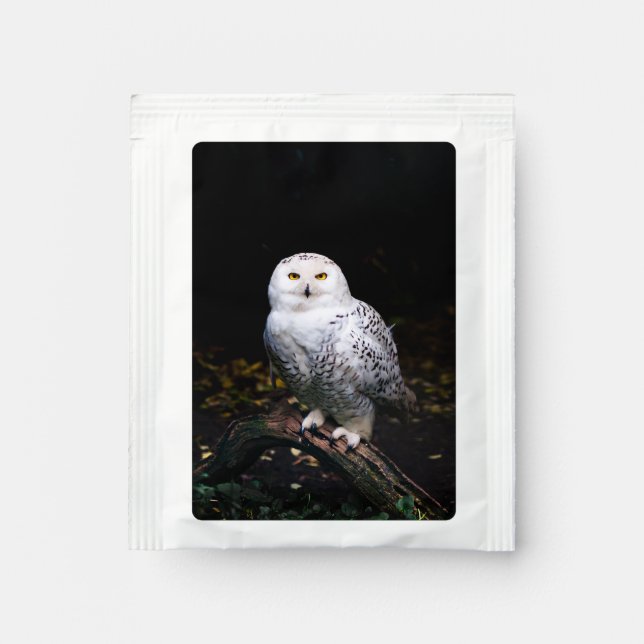 Majestic winter snowy owl tea bag drink mix (Front)