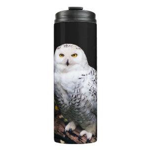 Majestic winter snowy owl thermal tumbler
