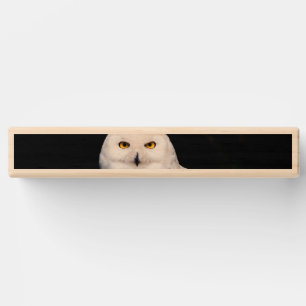 Majestic winter snowy owl topple tower